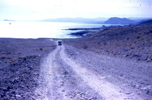 Sea of Cortez c1964